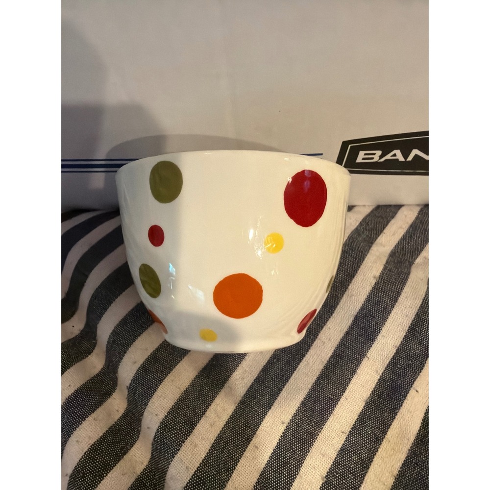 Boston Warehouse Polka Dot Ceramic Bowl White Multi Color Confetti 4 Inch Round
